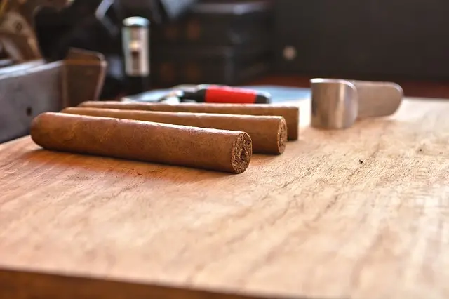 Zdjęcie z programu wyjazdu