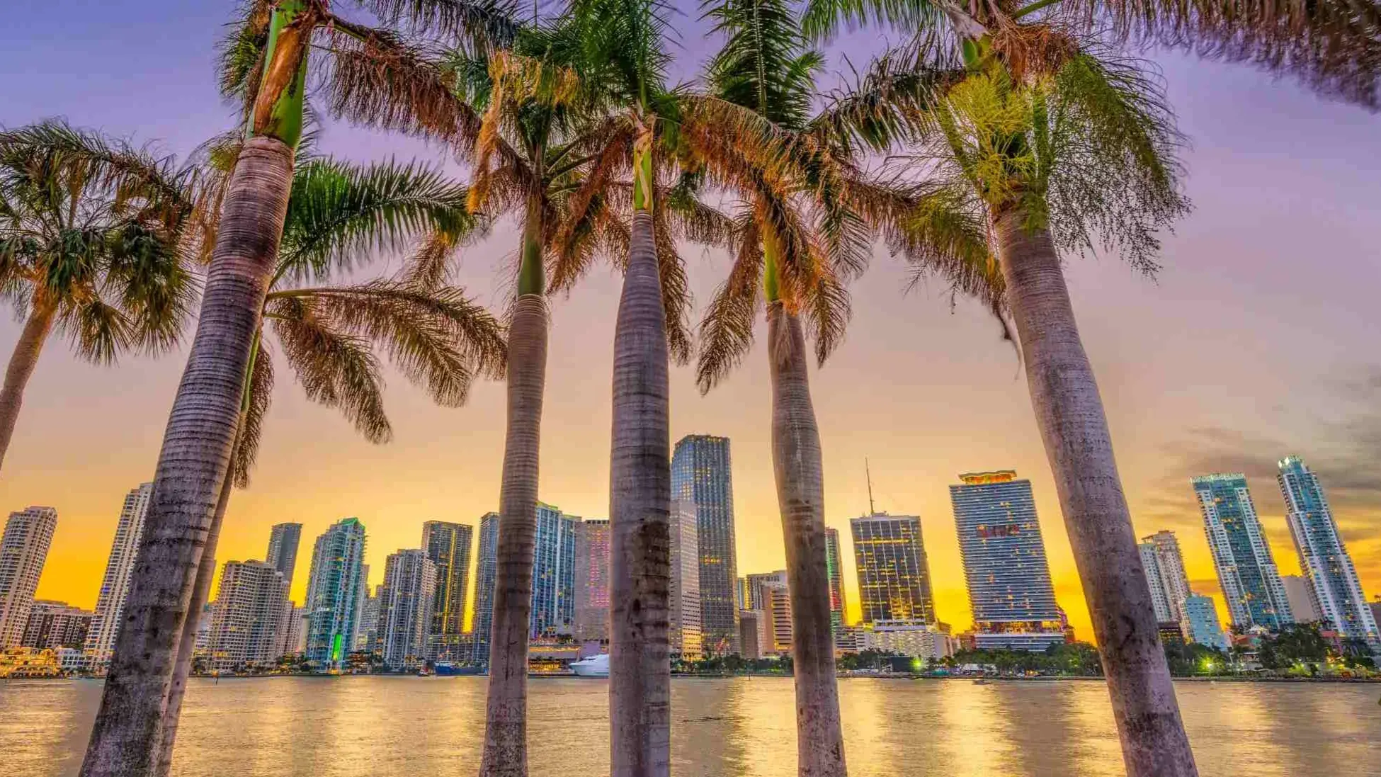 Zdjęcie z programu wyjazdu