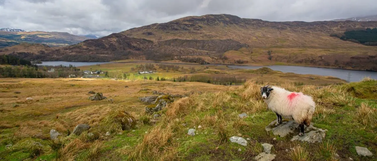 Zdjęcie z programu wyjazdu