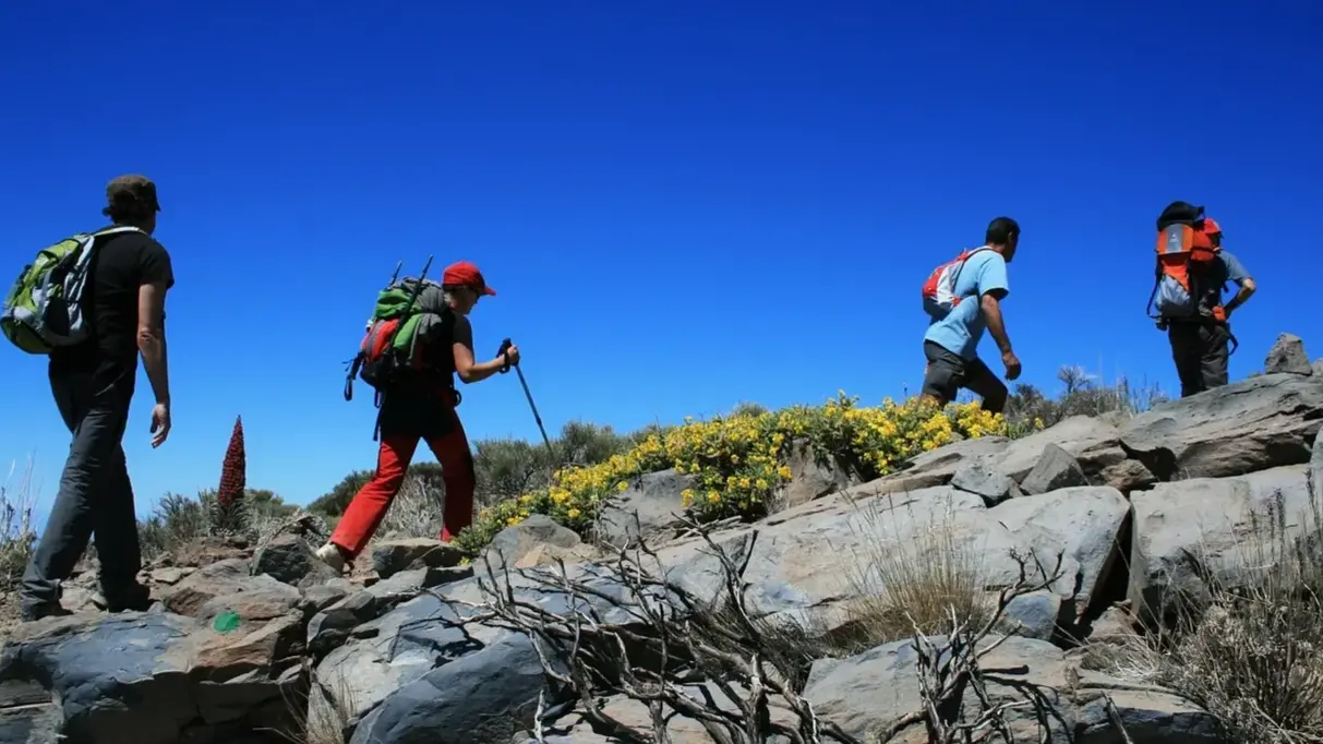 Zdjęcie dodatku podróży