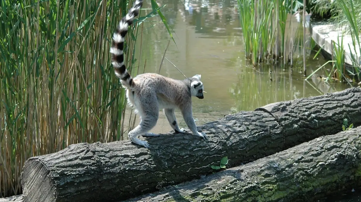 Zdjęcie z programu wyjazdu