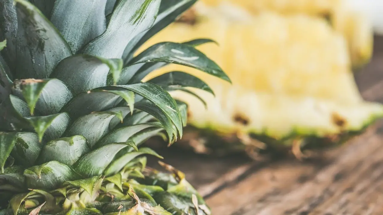 Zdjęcie z programu wyjazdu