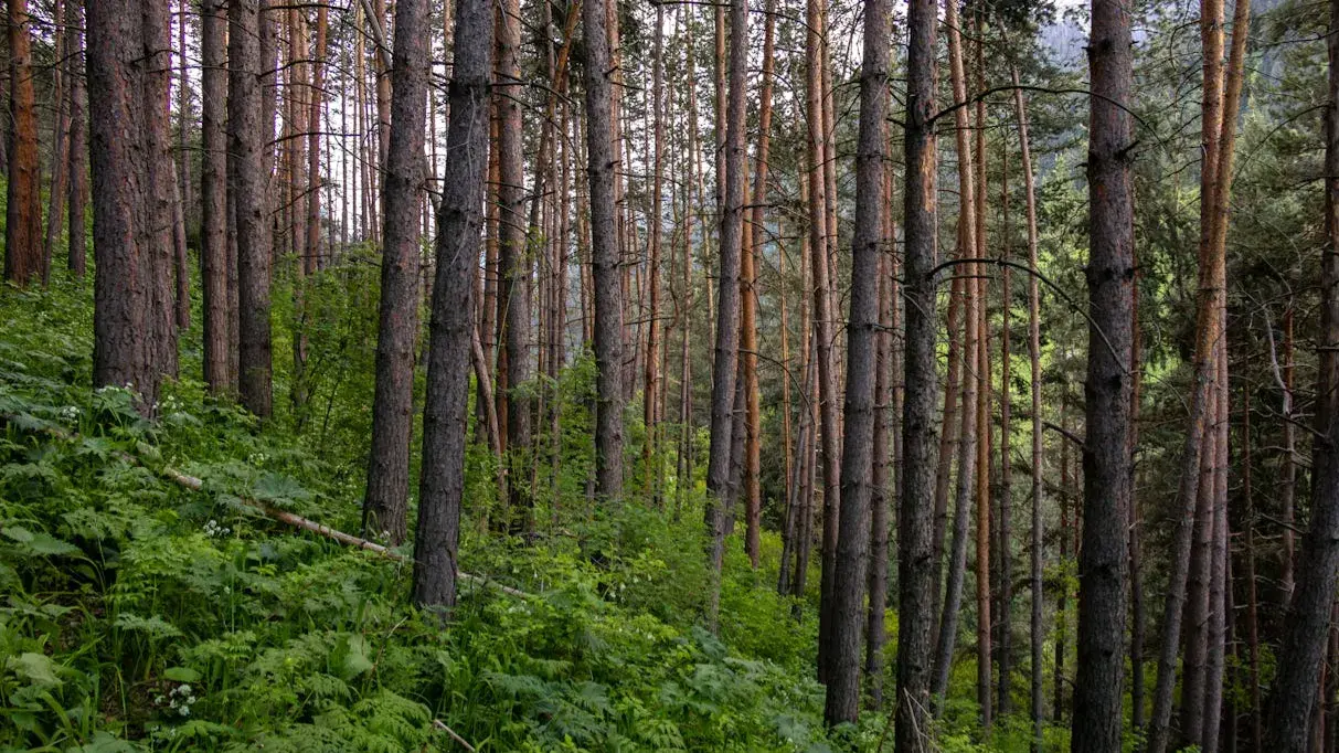 Zdjęcie z programu wyjazdu
