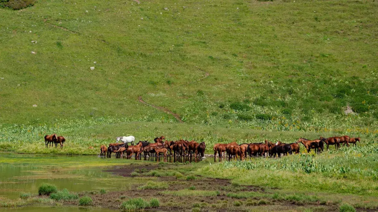 Zdjęcie z programu wyjazdu
