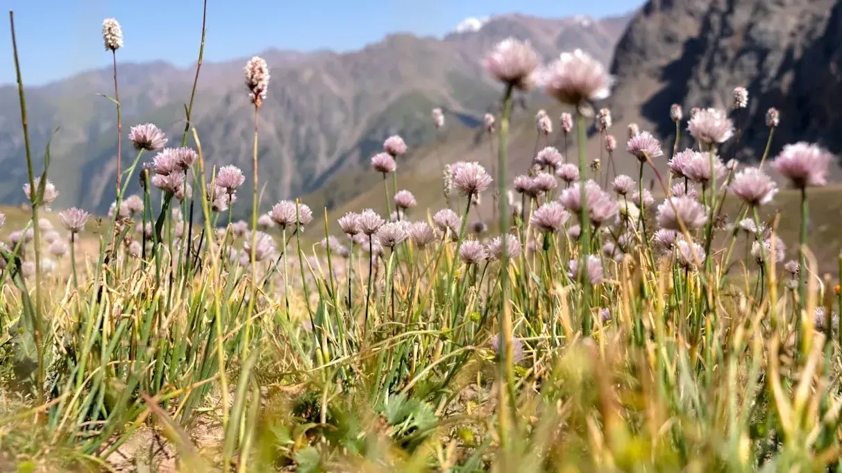 Zdjęcie z programu wyjazdu