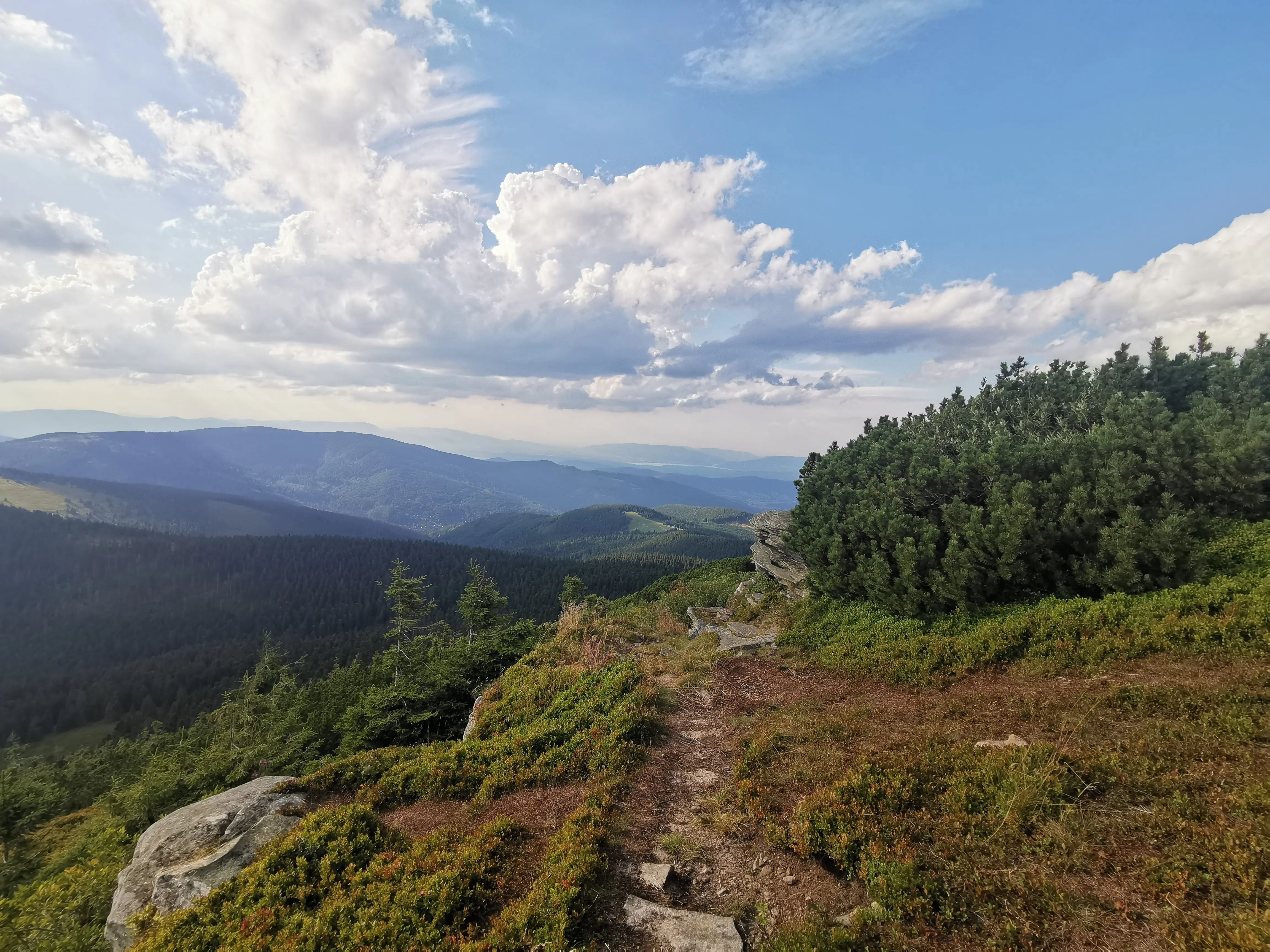 Zdjęcie z programu wyjazdu