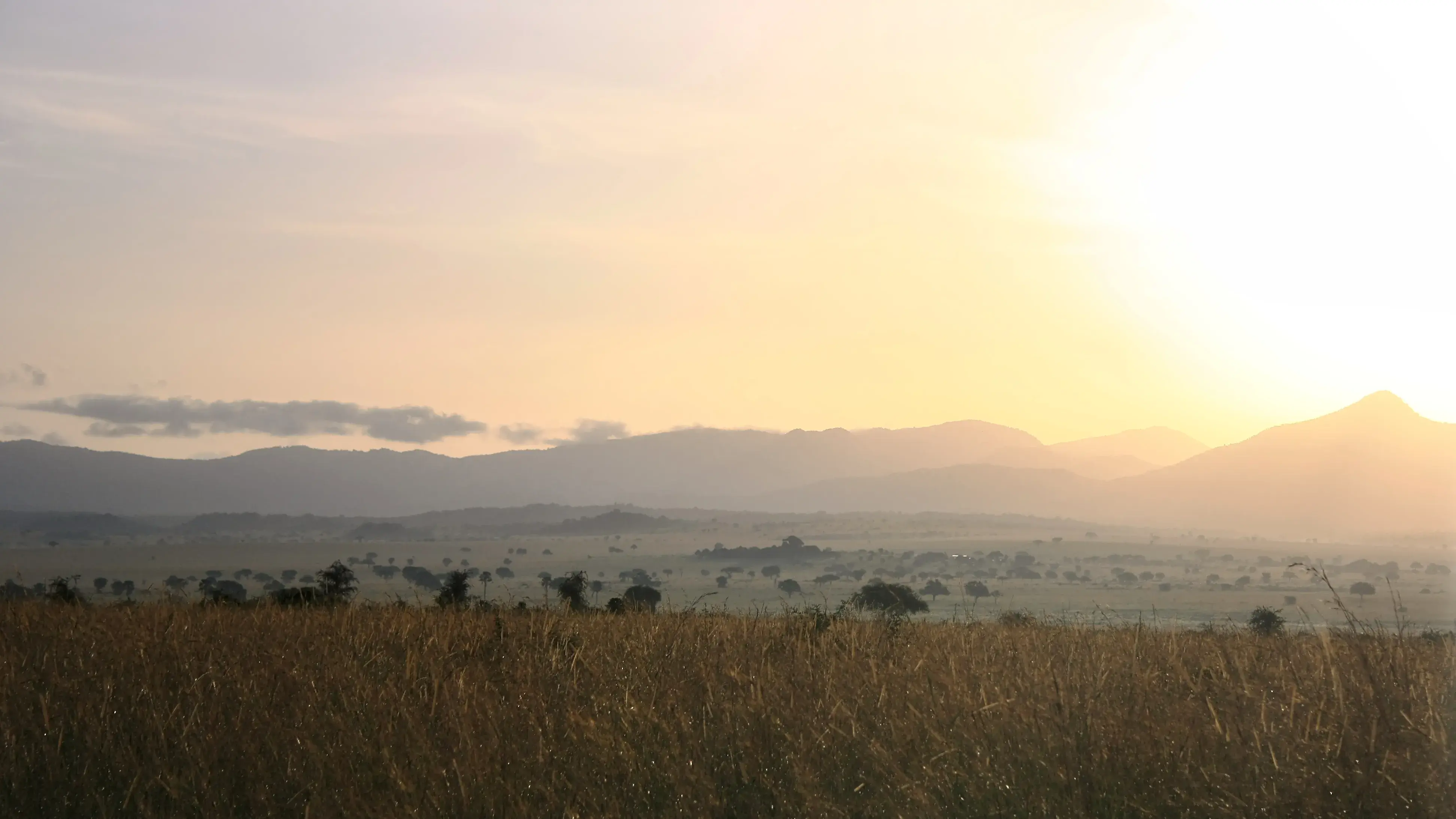 Zdjęcie z programu wyjazdu