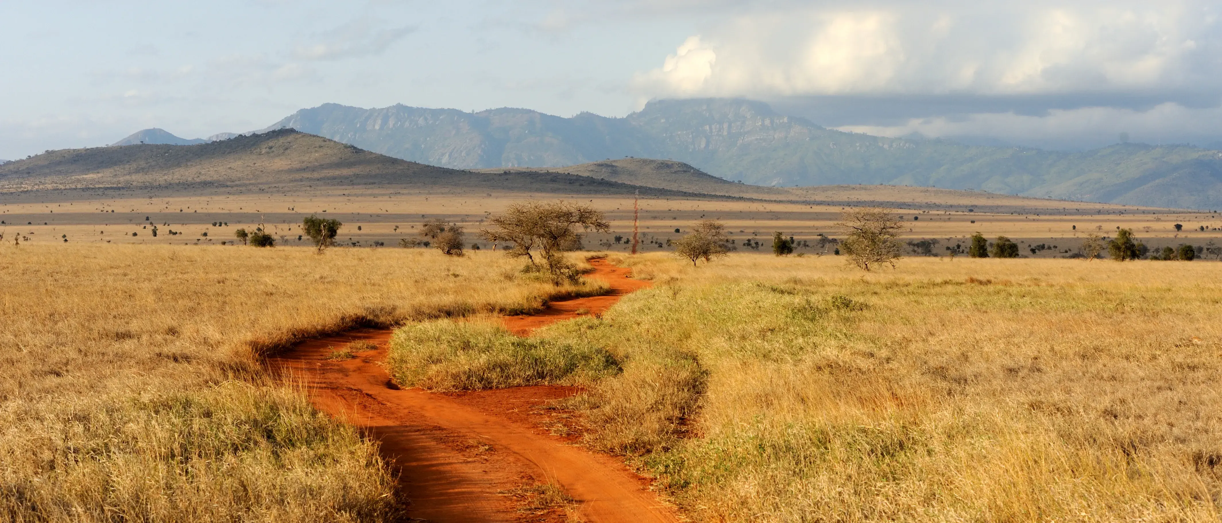 Zdjęcie z programu wyjazdu