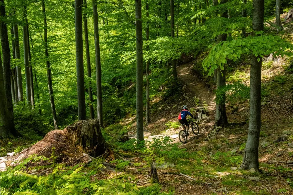 Zdjęcie z programu wyjazdu