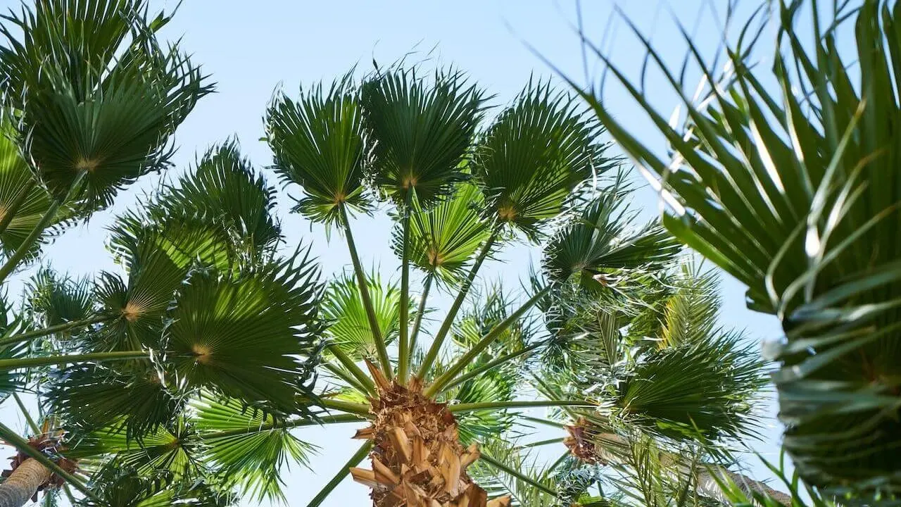 Zdjęcie z programu wyjazdu