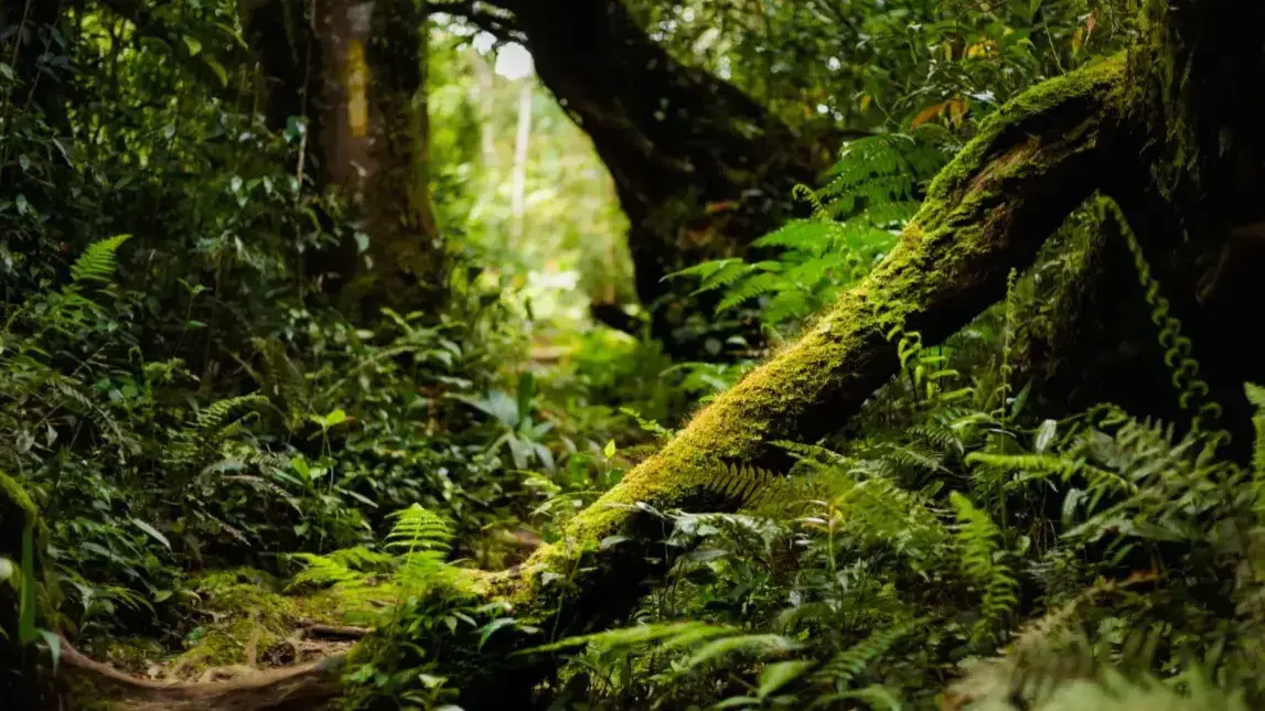Zdjęcie dodatku podróży