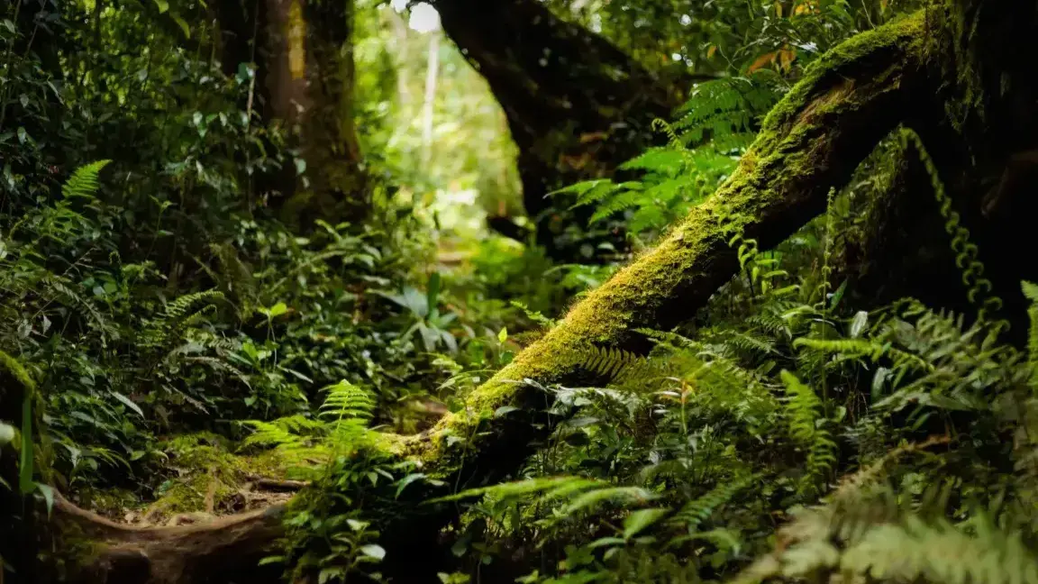 Zdjęcie z programu wyjazdu