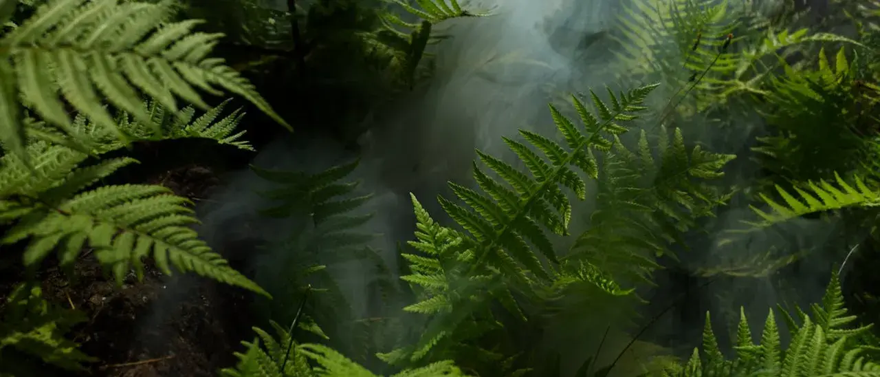 Zdjęcie z programu wyjazdu