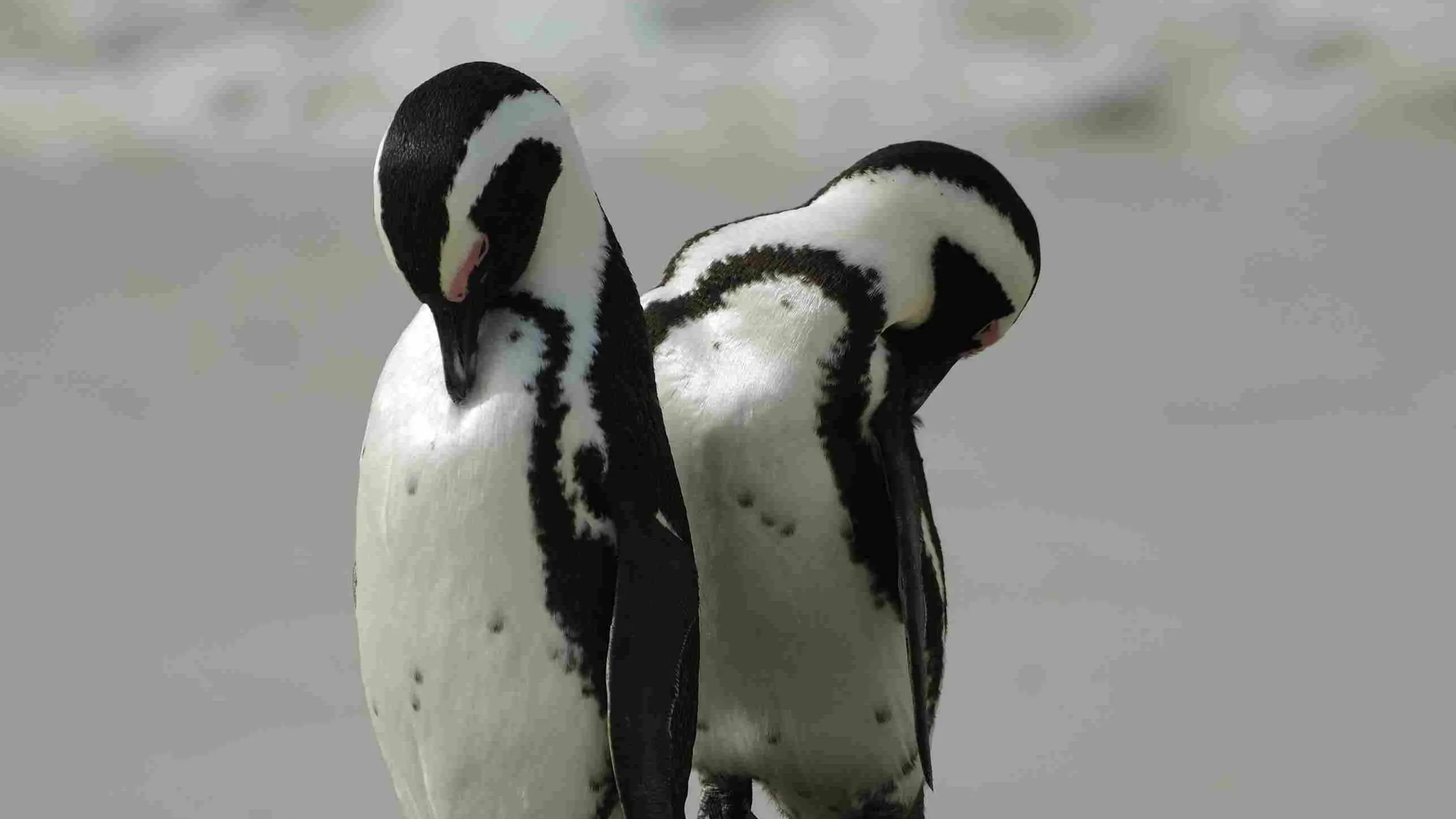 Zdjęcie z programu wyjazdu