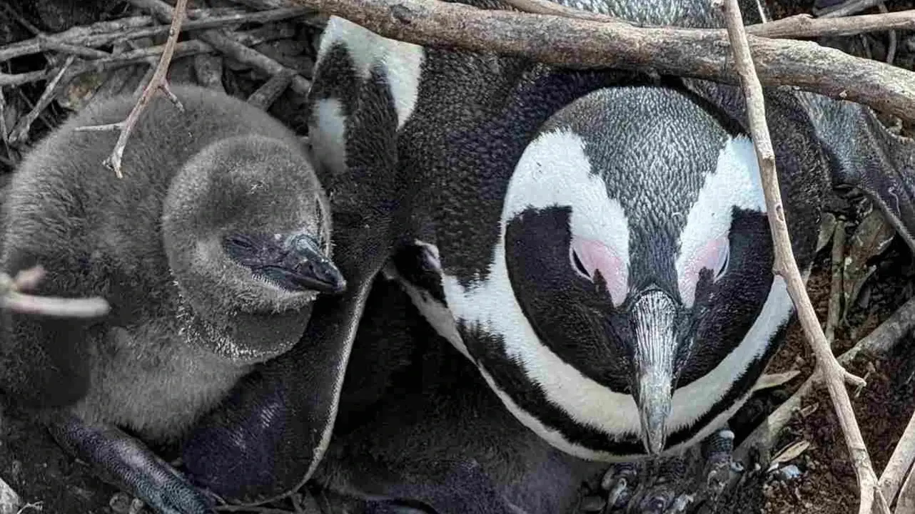 Zdjęcie z programu wyjazdu
