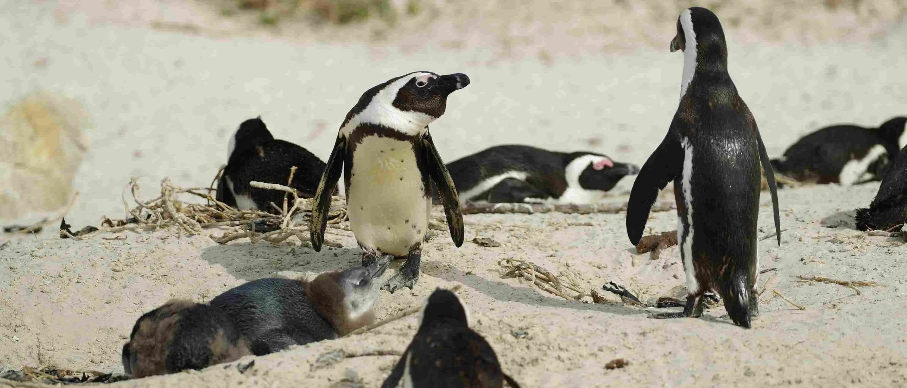 Zdjęcie z programu wyjazdu