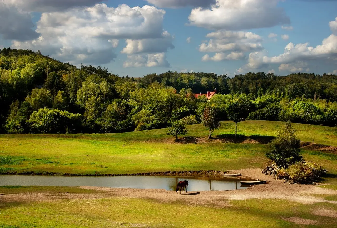 Zdjęcie z programu wyjazdu