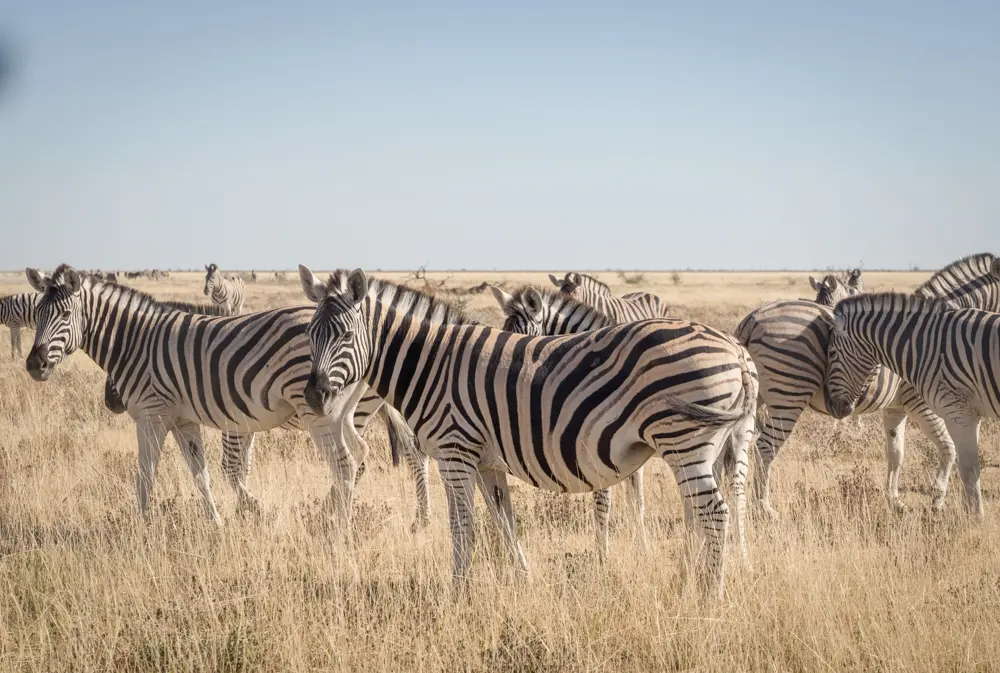 Zdjęcie z programu wyjazdu