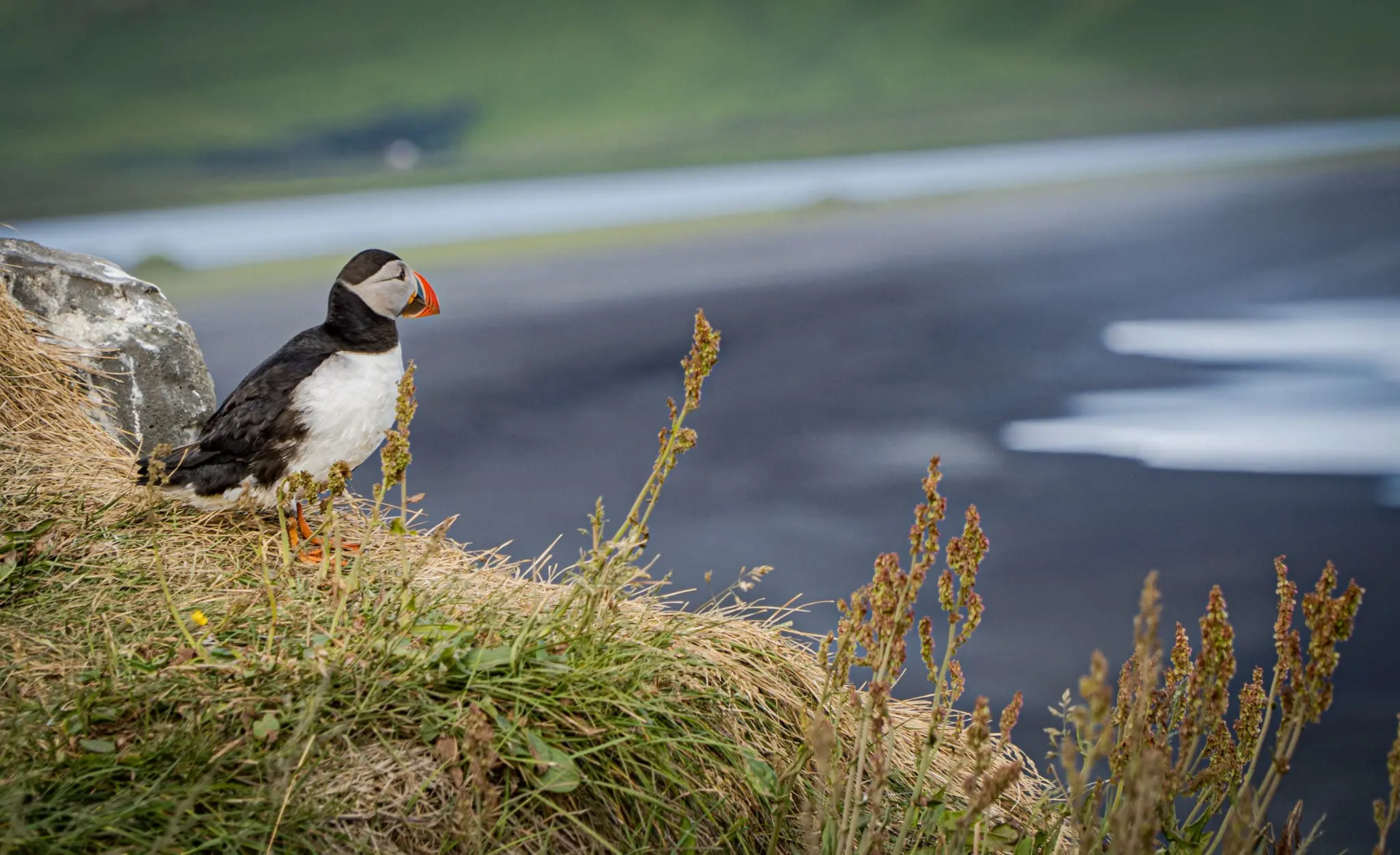 Zdjęcie z programu wyjazdu