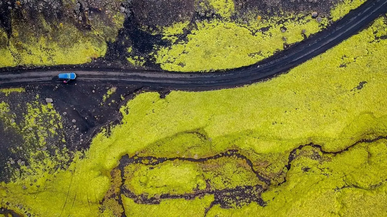 Zdjęcie z programu wyjazdu