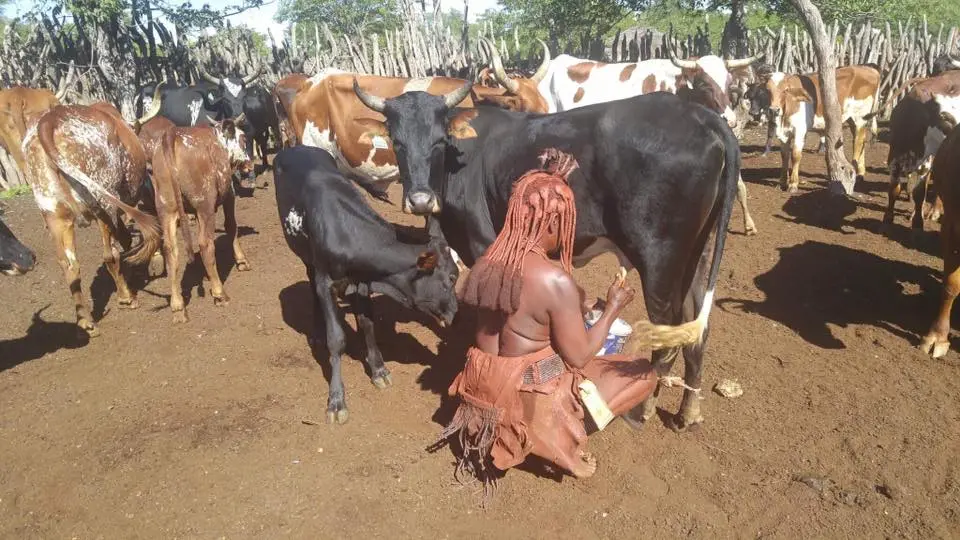 Zdjęcie z programu wyjazdu