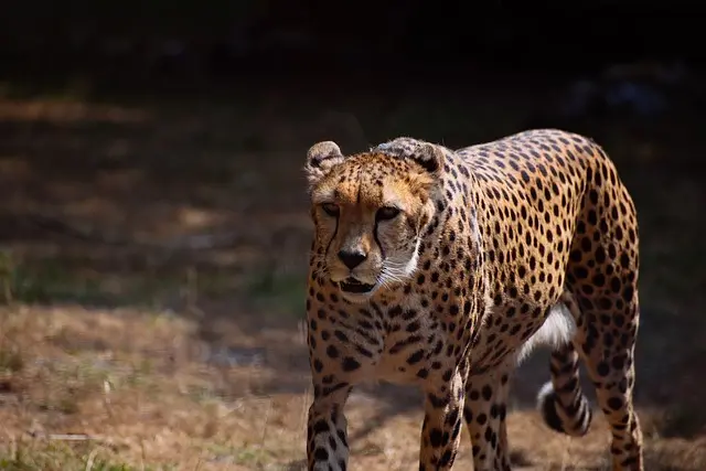 Zdjęcie z programu wyjazdu