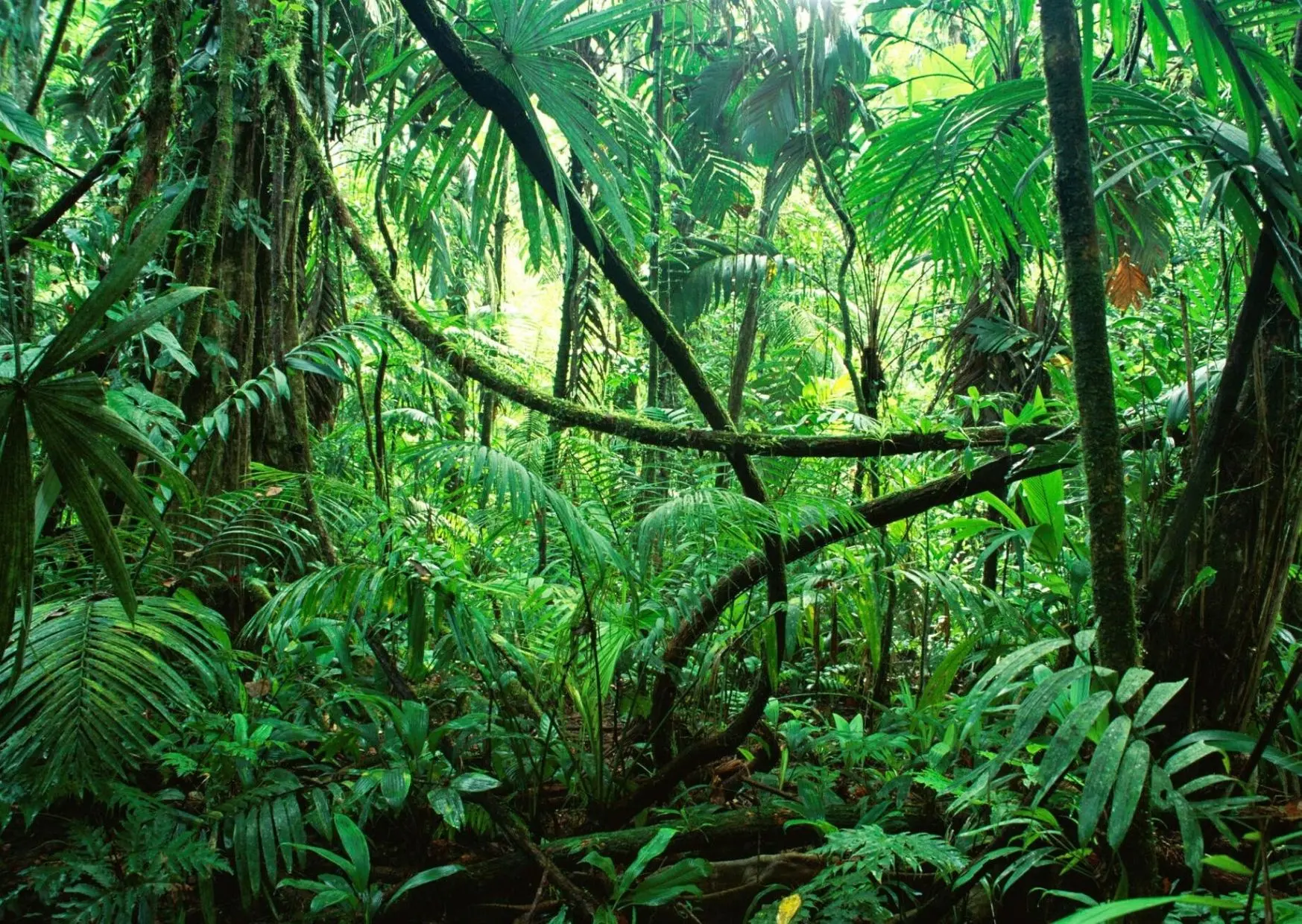 Zdjęcie z programu wyjazdu