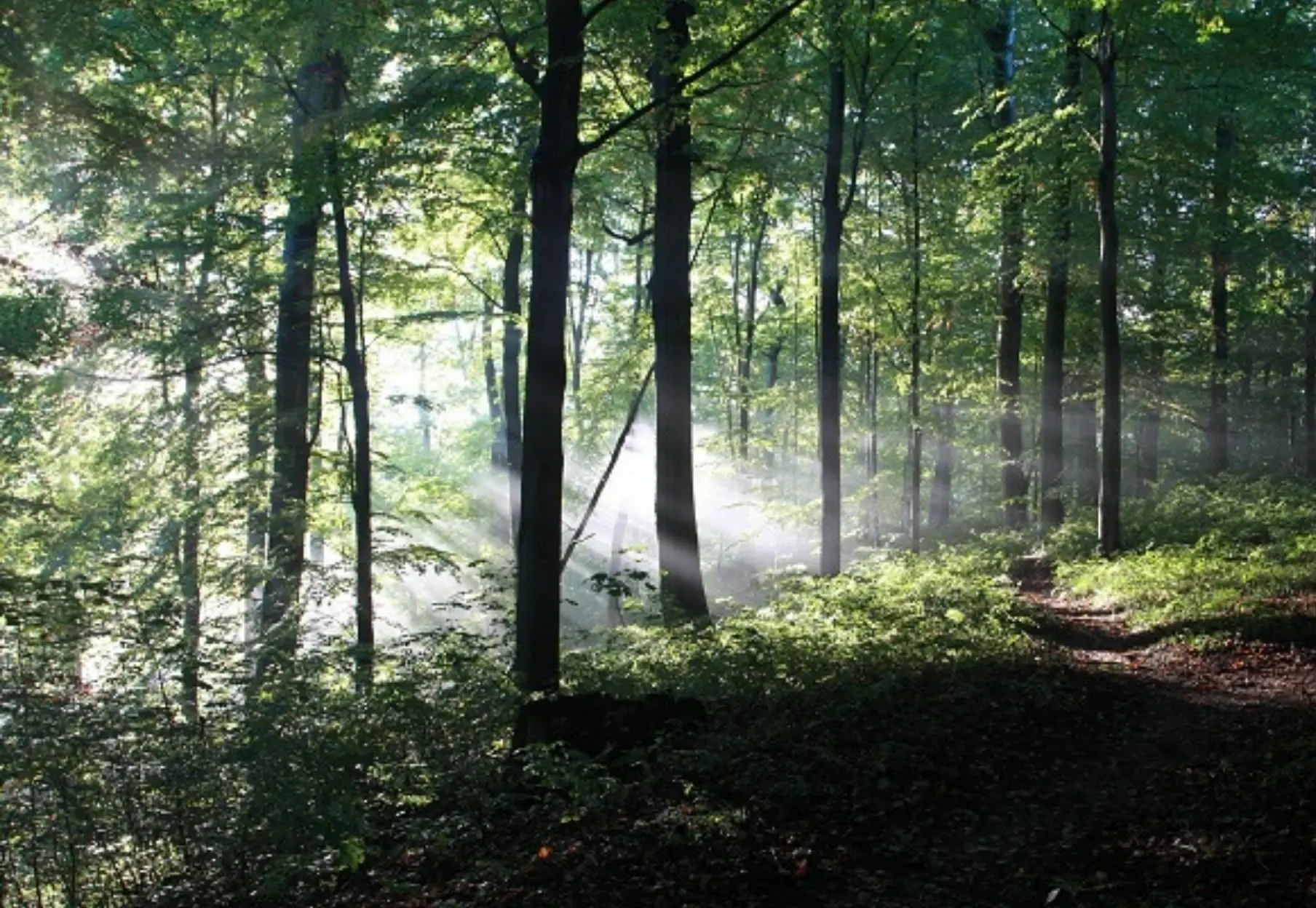 Zdjęcie z programu wyjazdu