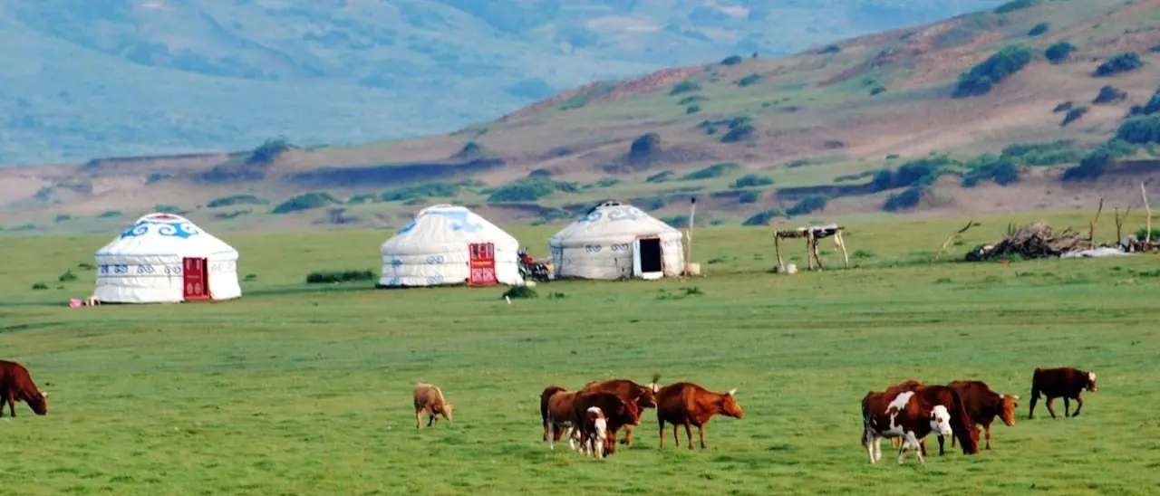 Zdjęcie z programu wyjazdu