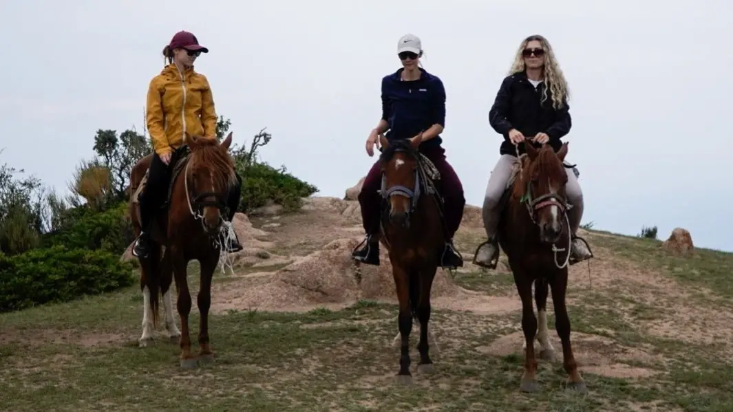 Zdjęcie dodatku podróży