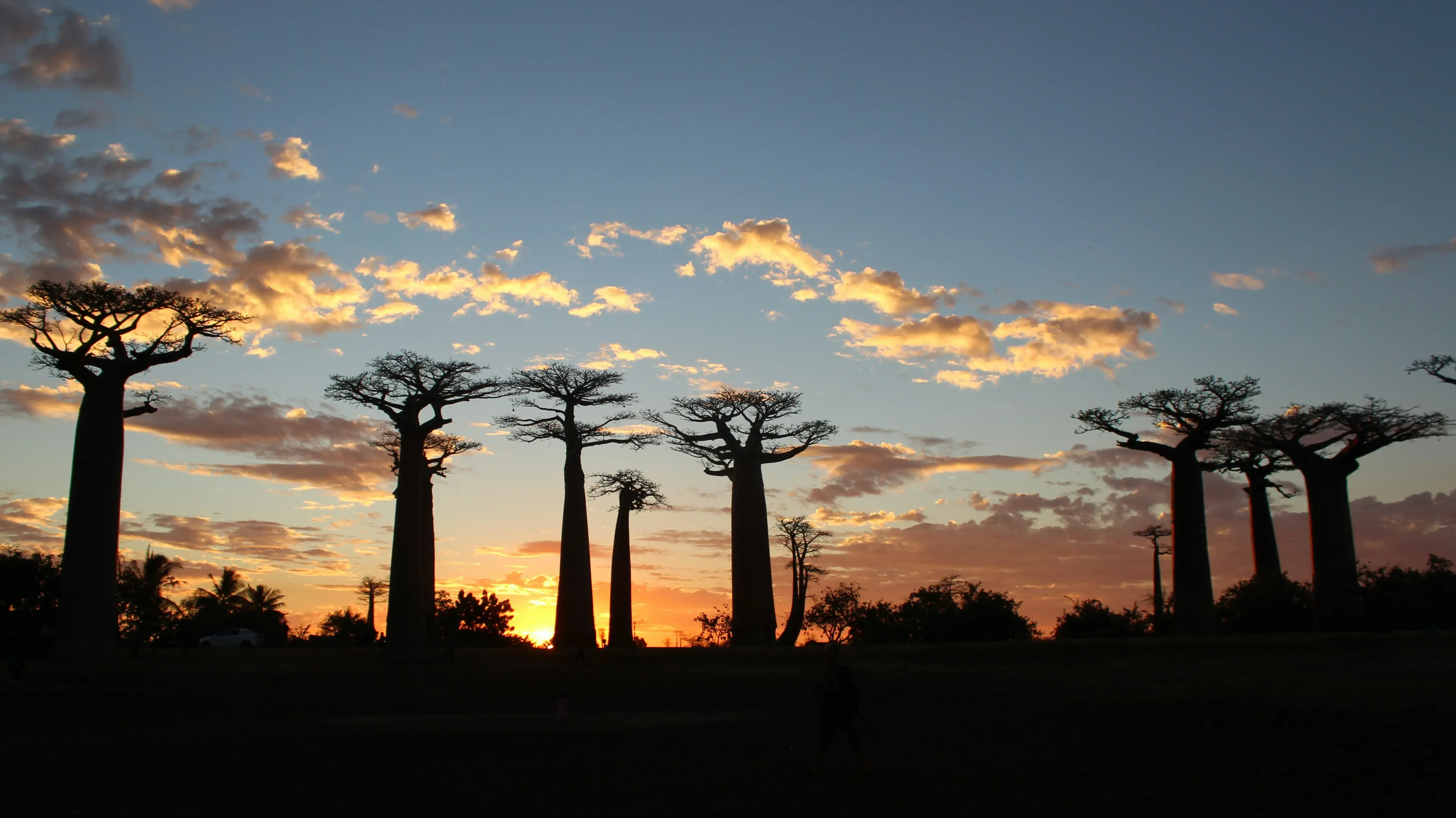 Zdjęcie z programu wyjazdu