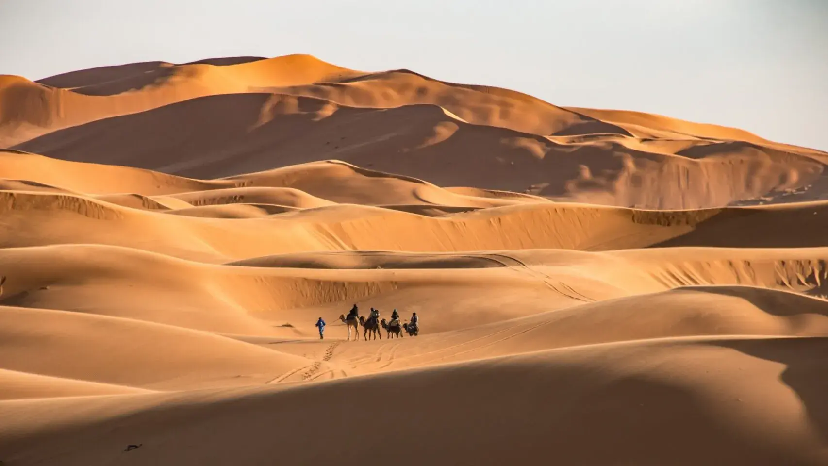 Zdjęcie z programu wyjazdu