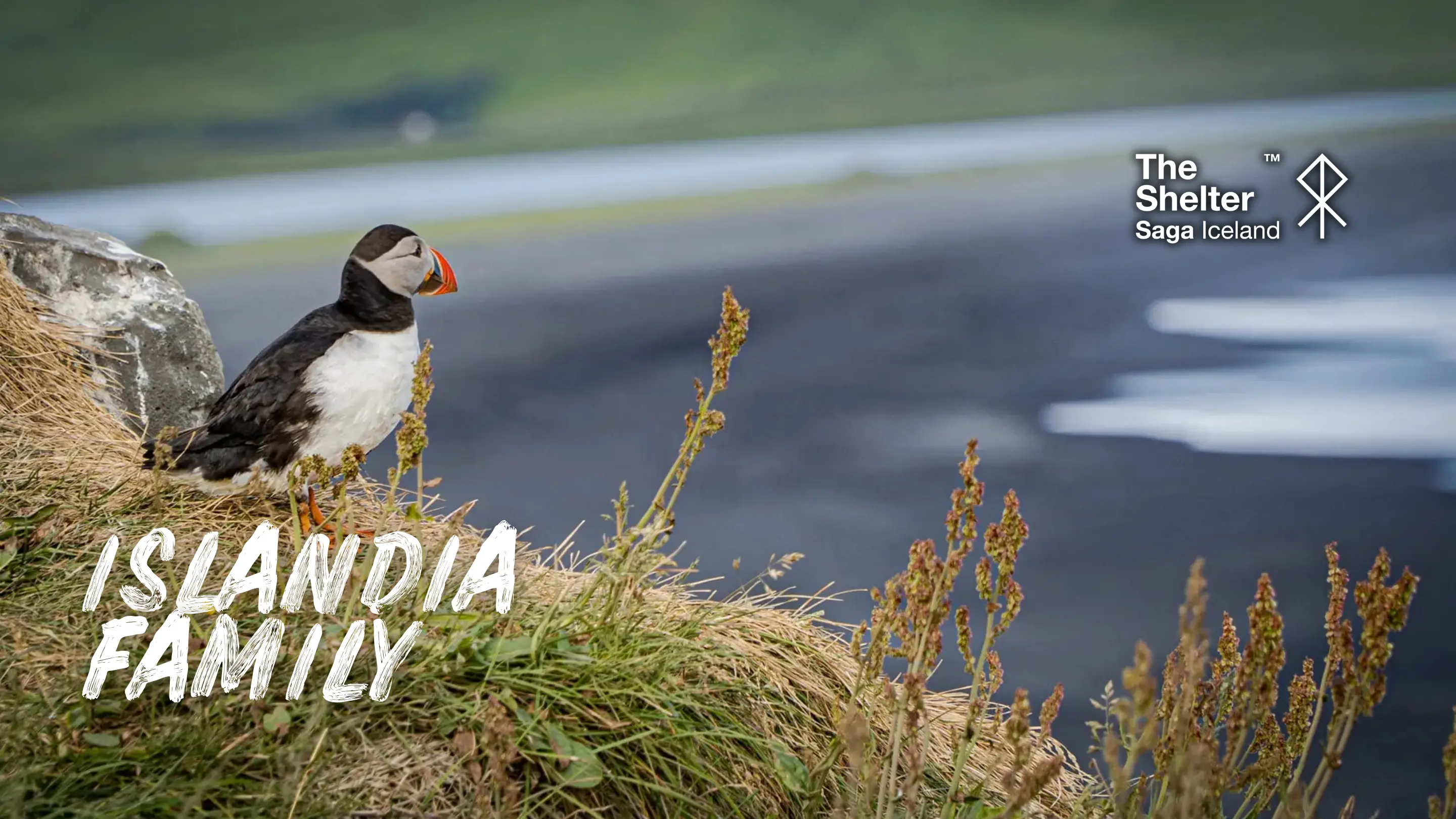 Zdjęcie z programu wyjazdu