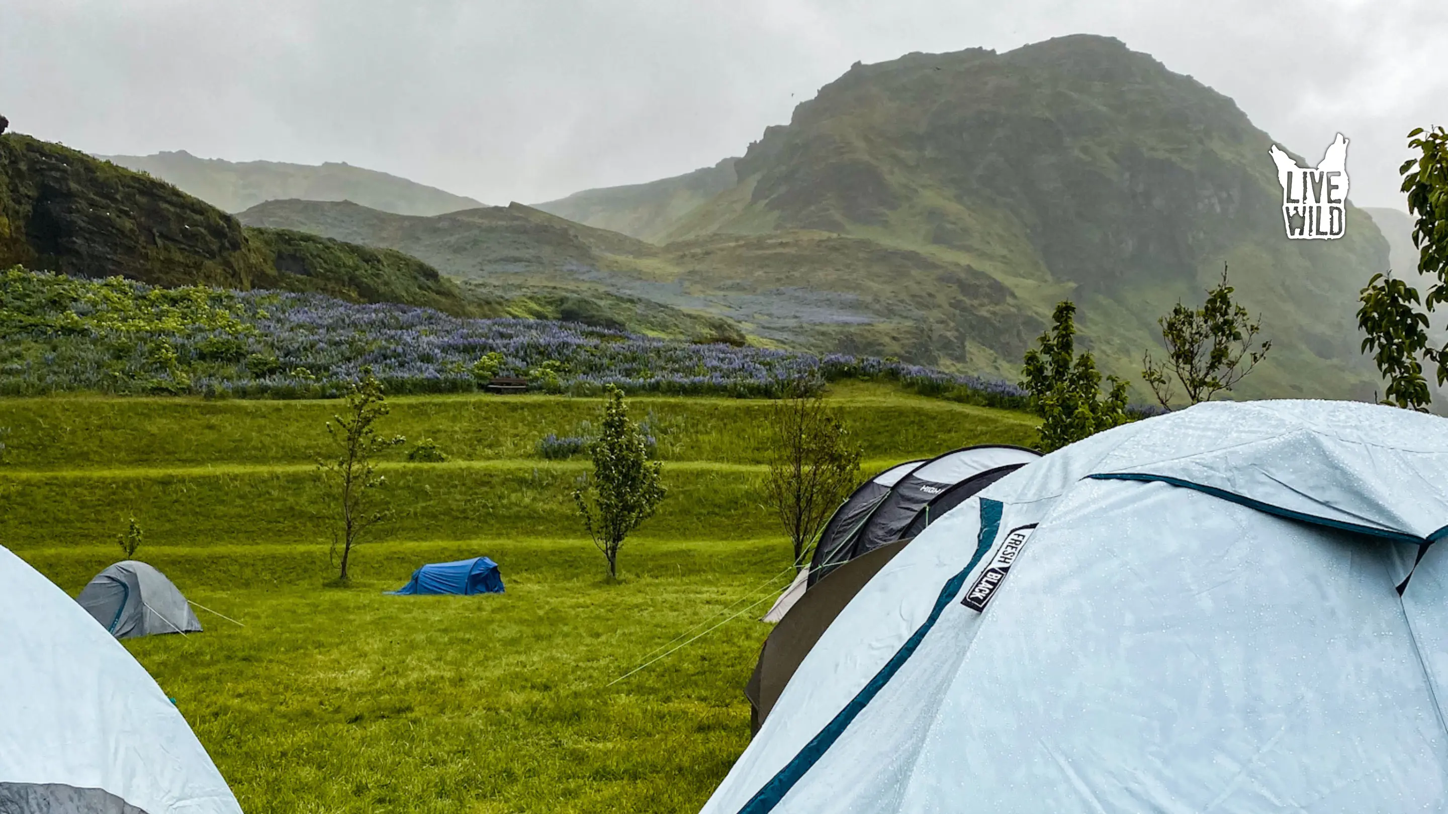 Zdjęcie z programu wyjazdu