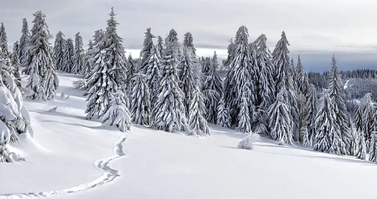 Zdjęcie z programu wyjazdu