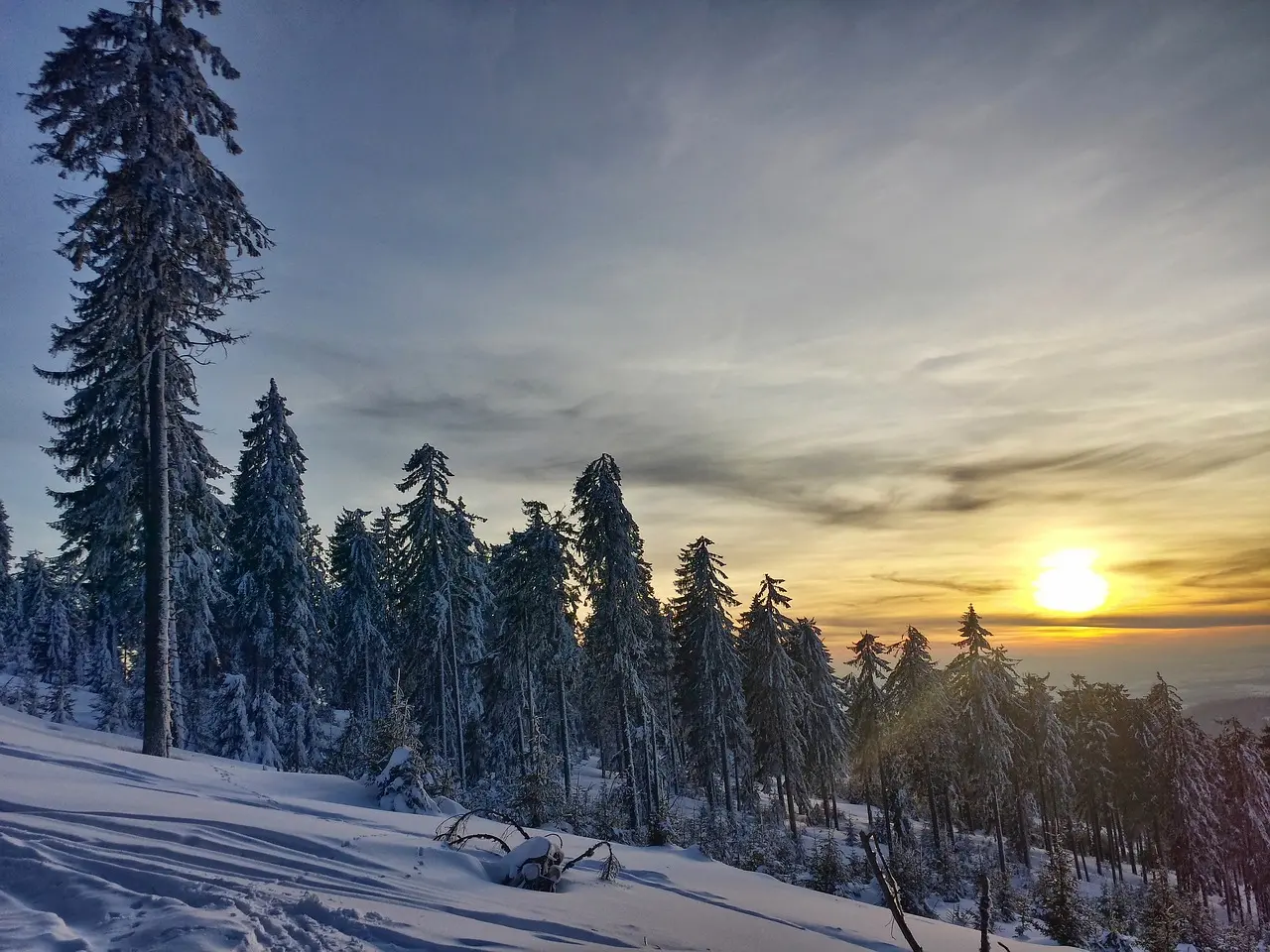 Zdjęcie z programu wyjazdu