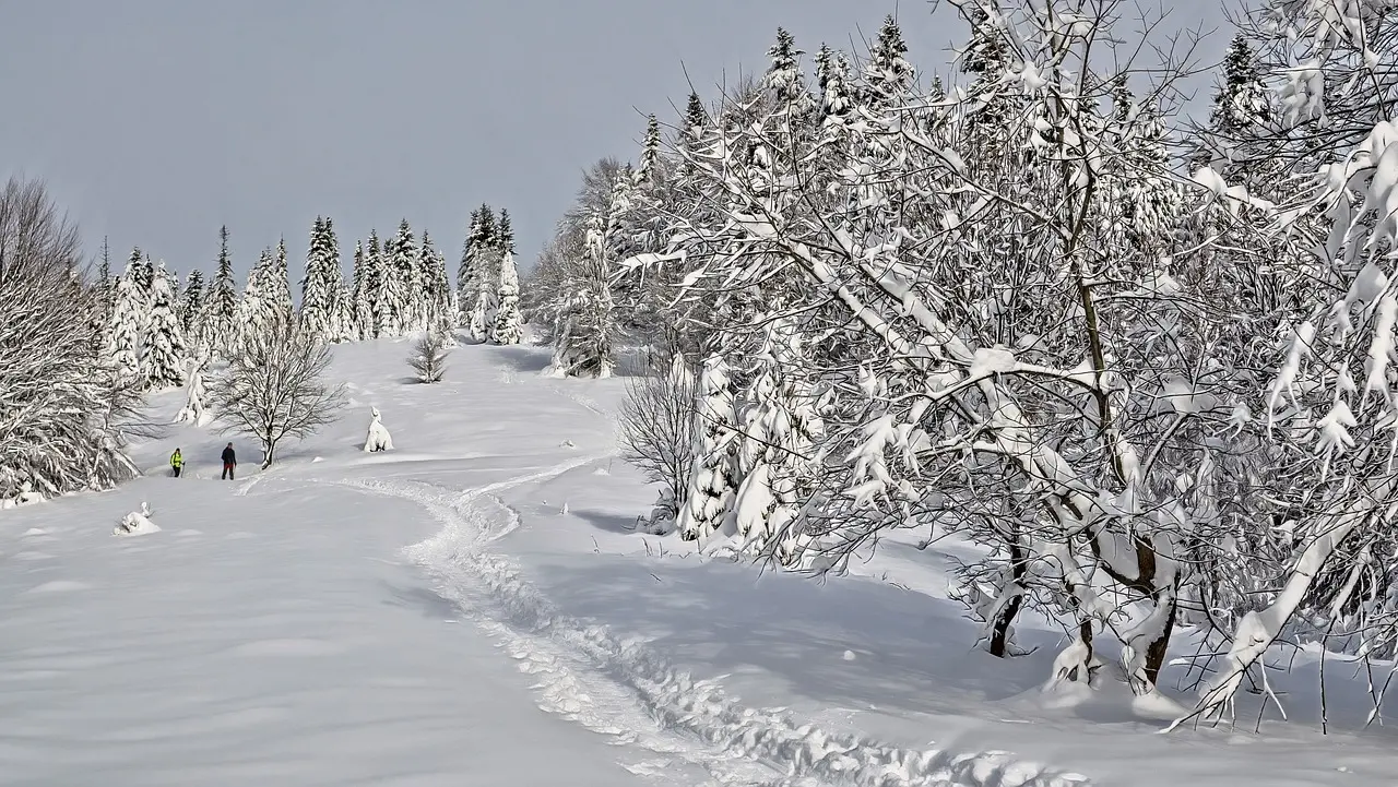 Zdjęcie z programu wyjazdu