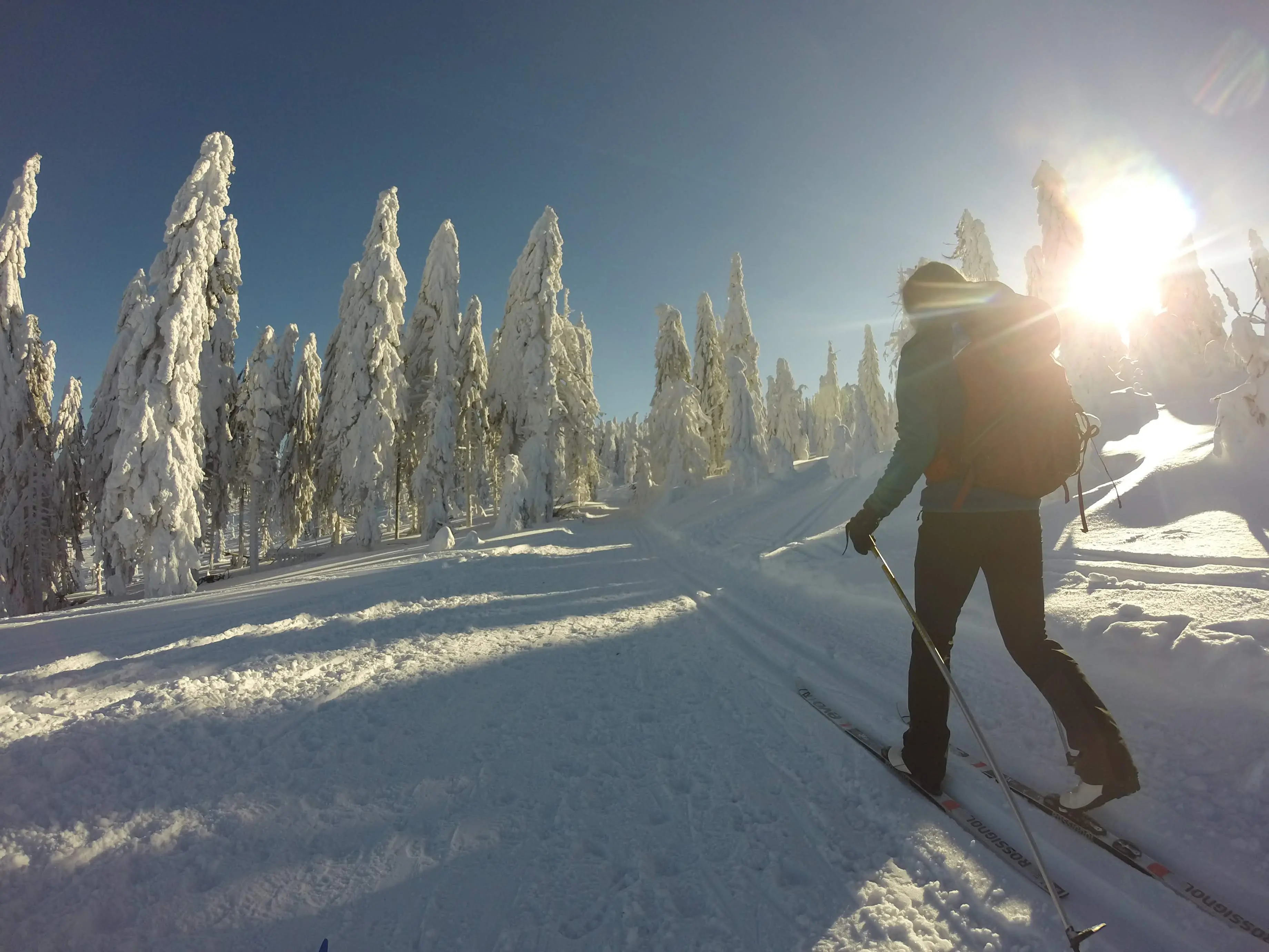 Zdjęcie z programu wyjazdu
