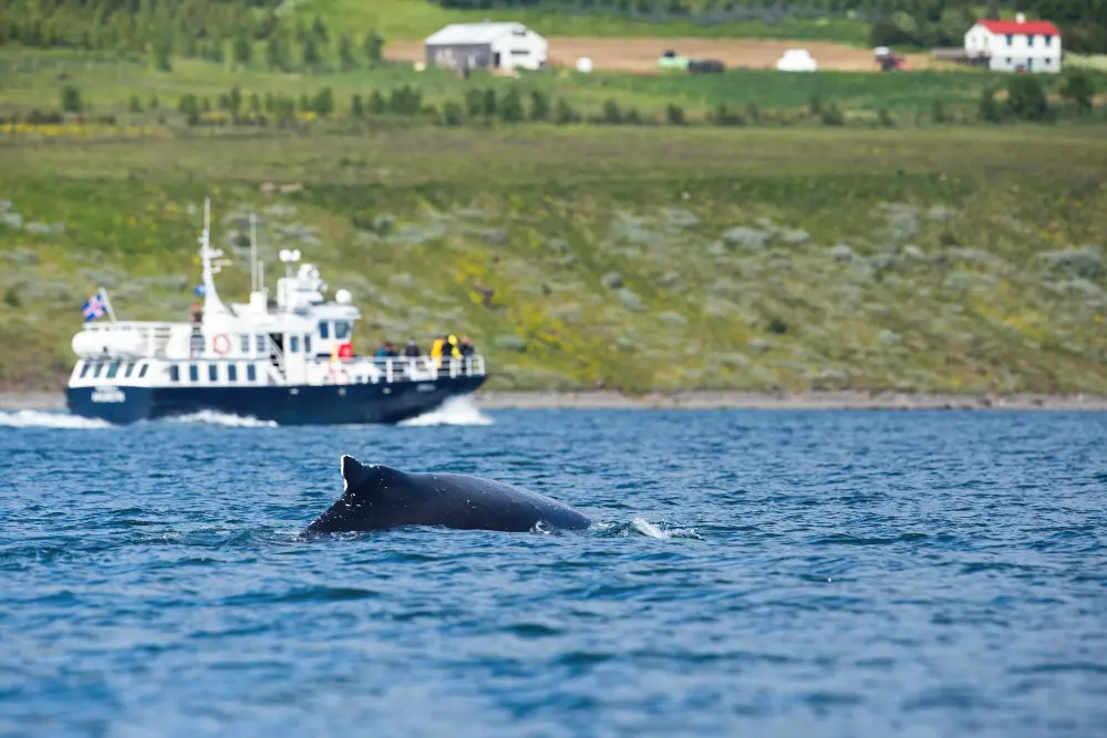 Zdjęcie z programu wyjazdu