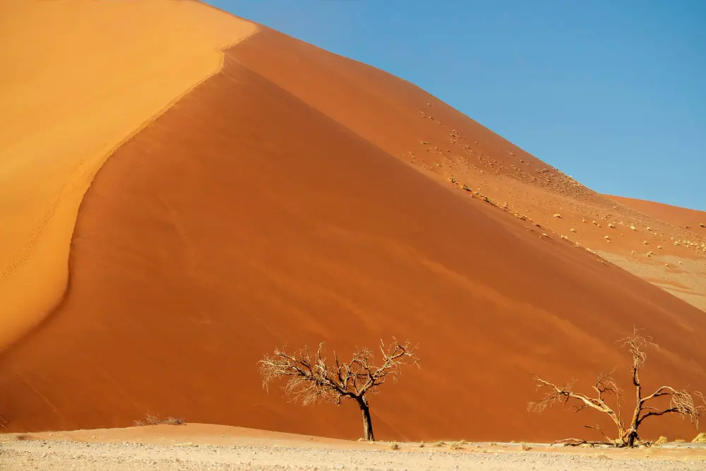 Zdjęcie z programu wyjazdu