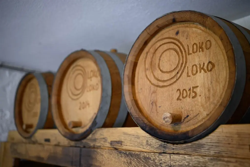 Zdjęcie z programu wyjazdu