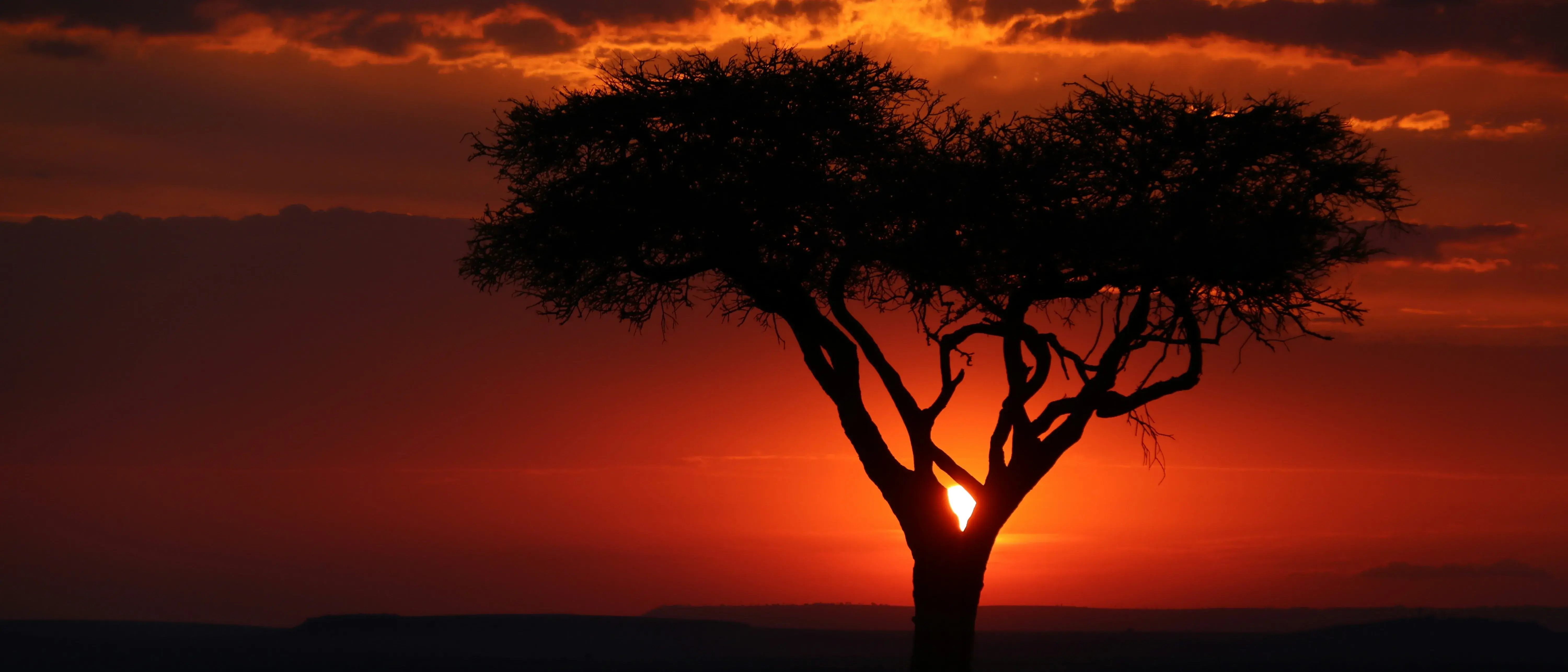 Zdjęcie z programu wyjazdu