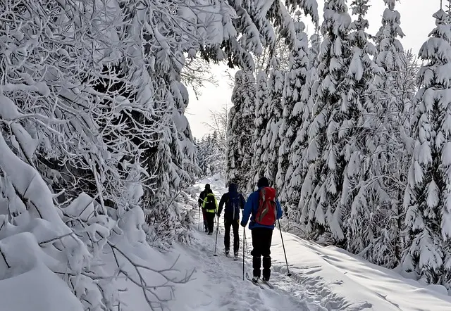 Zdjęcie z programu wyjazdu