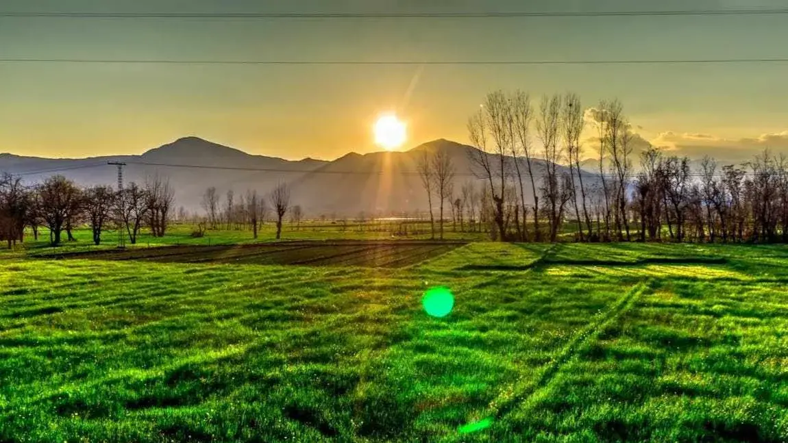 Zdjęcie z programu wyjazdu