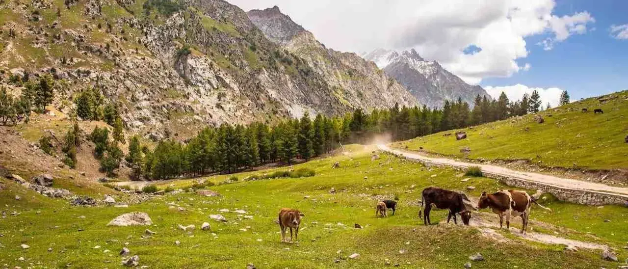 Zdjęcie z programu wyjazdu