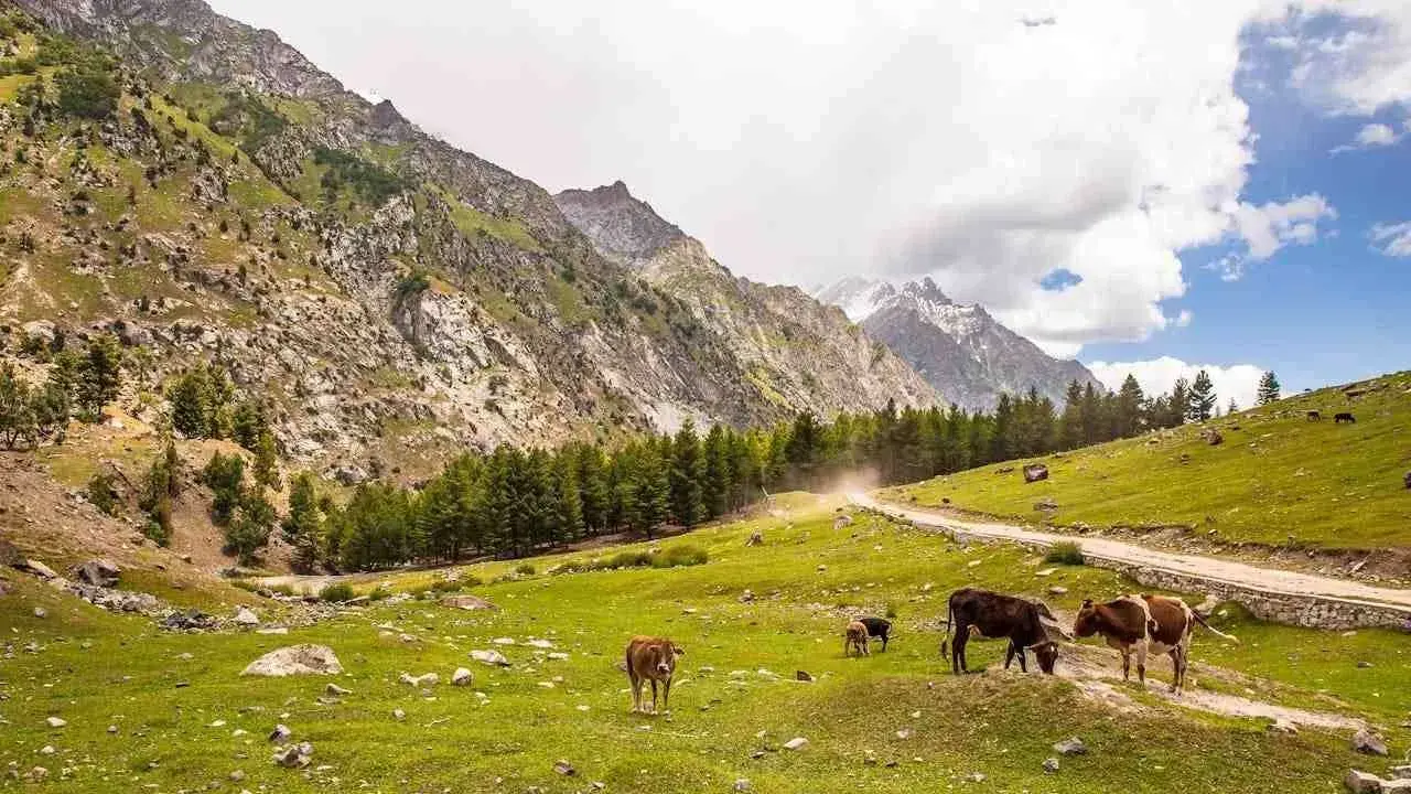Zdjęcie dodatku podróży