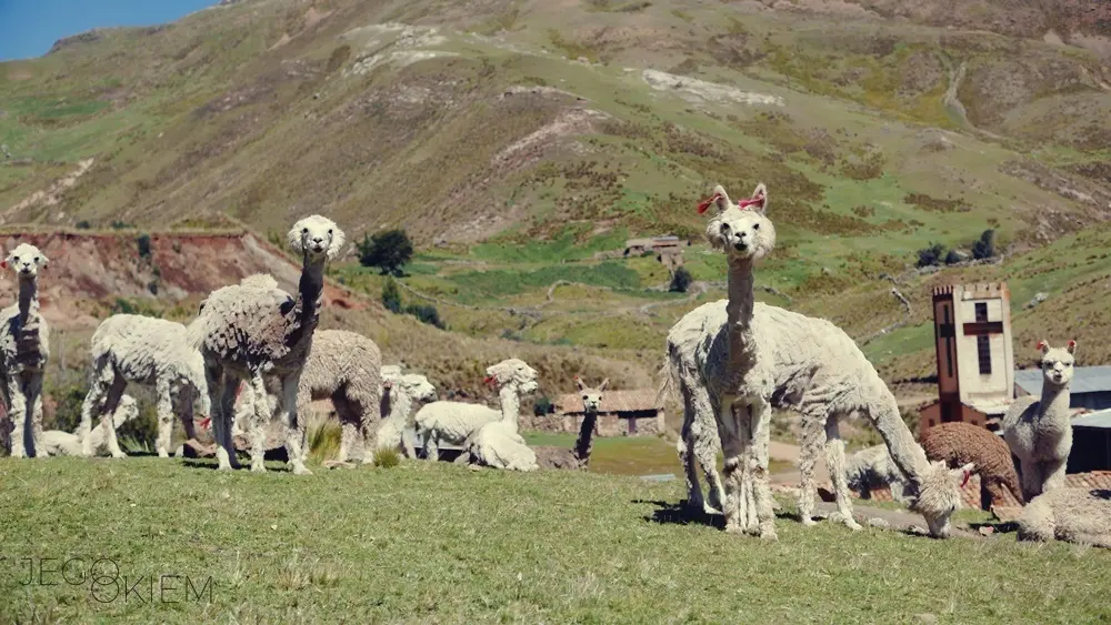 Zdjęcie z programu wyjazdu