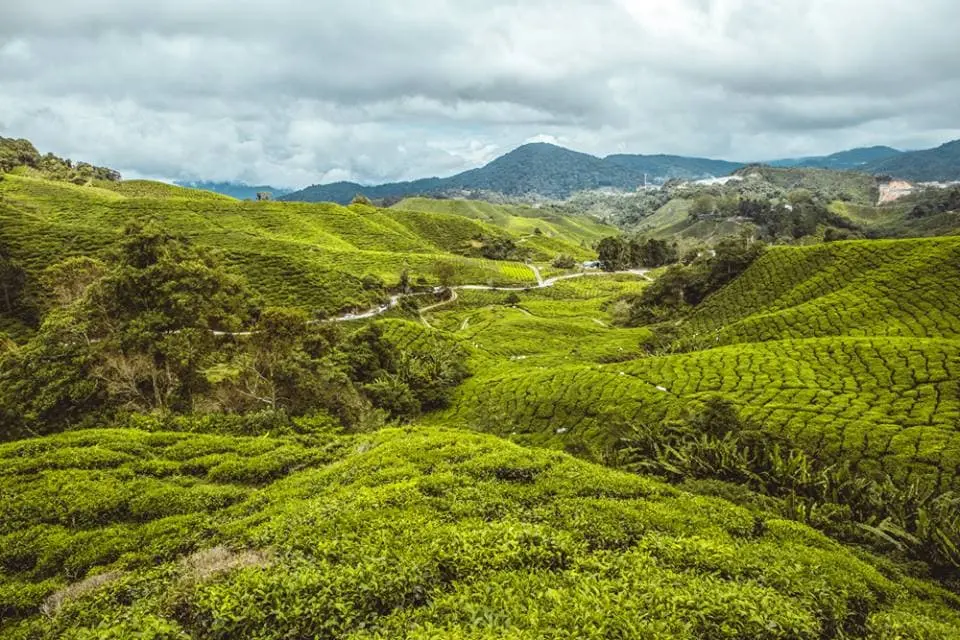 Zdjęcie z programu wyjazdu