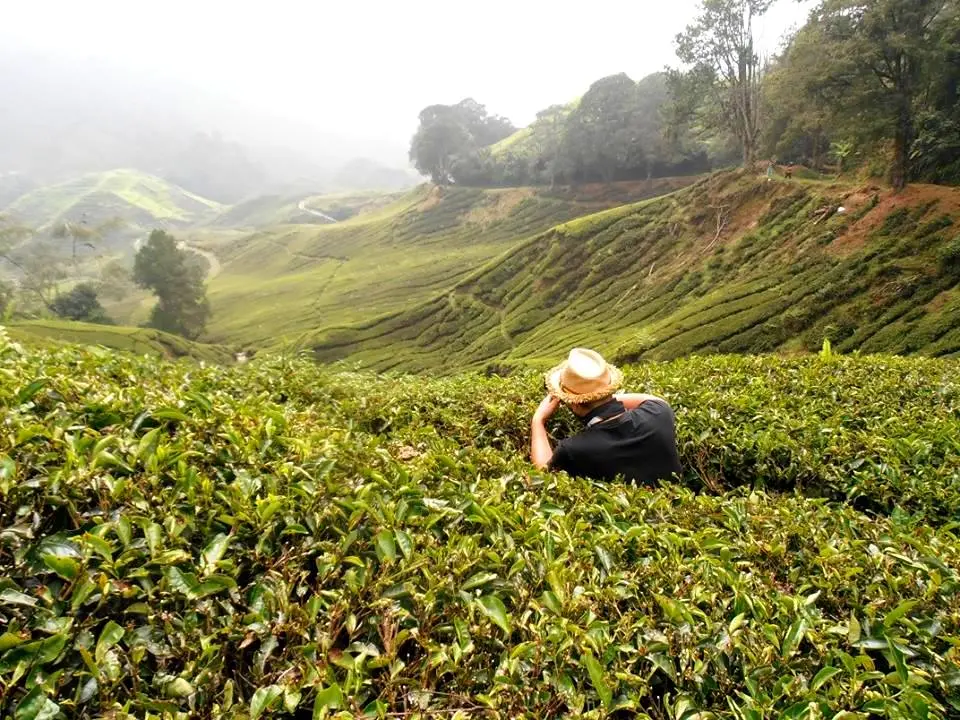Zdjęcie z programu wyjazdu
