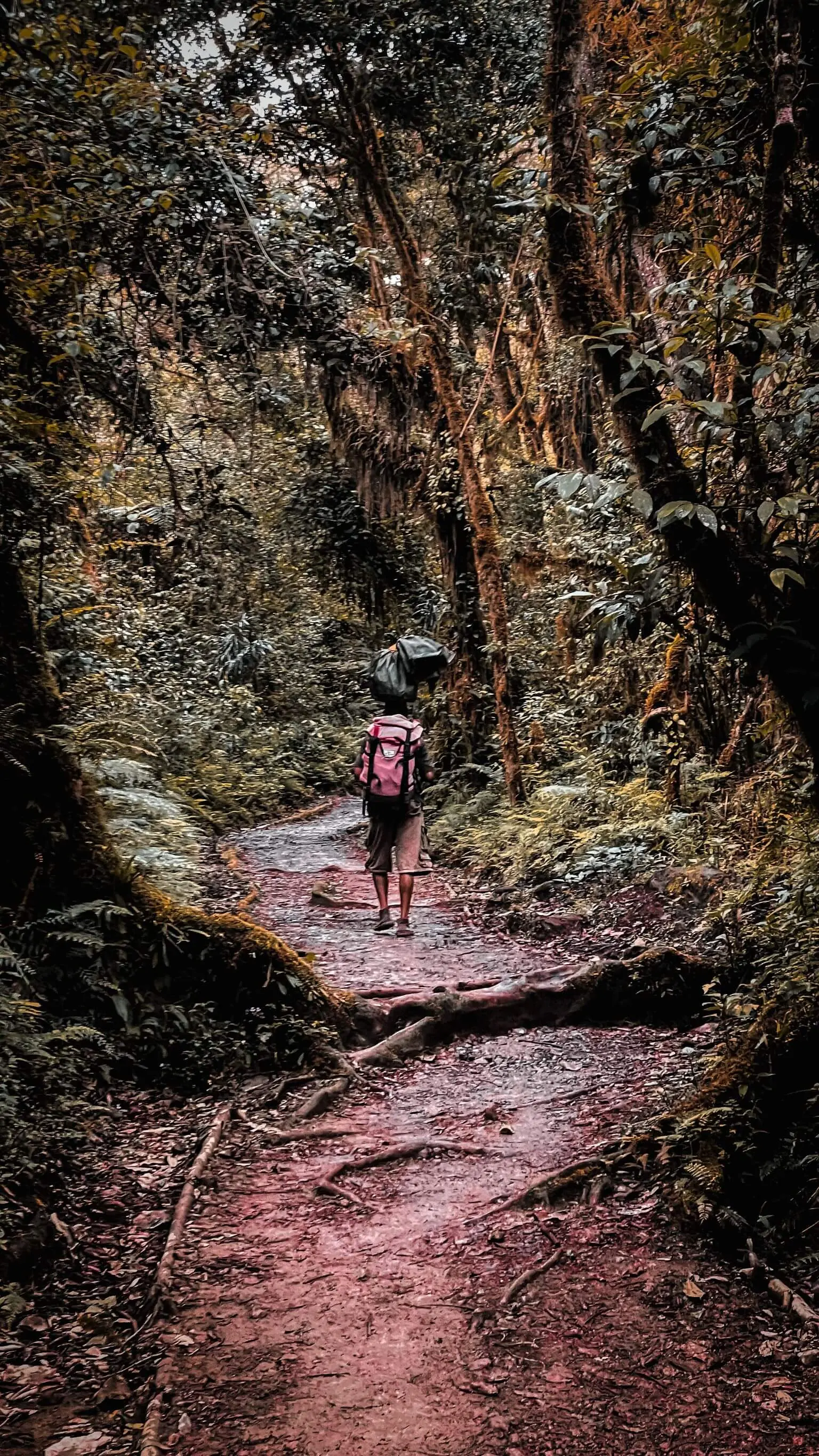 Zdjęcie z programu wyjazdu